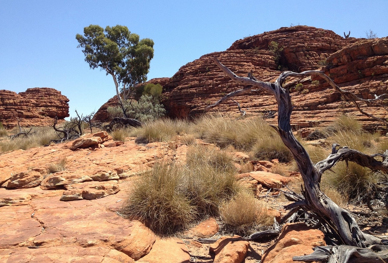 Red rock landscape of the Australian outback